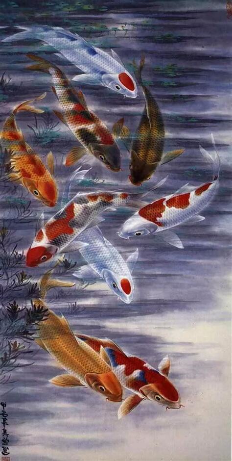 魚 畫